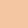 Mika Professional High Cover BB Cream