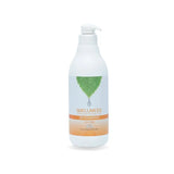 Wellness Therapeutic Shampoo for All Types of Smoothing Without Salts 1000 ml