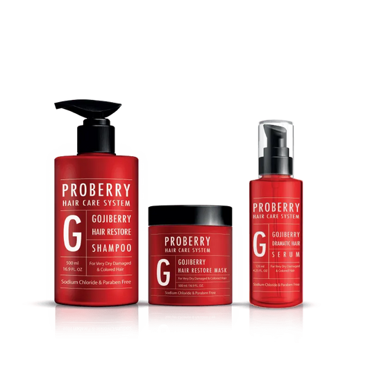 פרוברי ערכת ריסטור