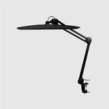 Decorative LED desk lamp