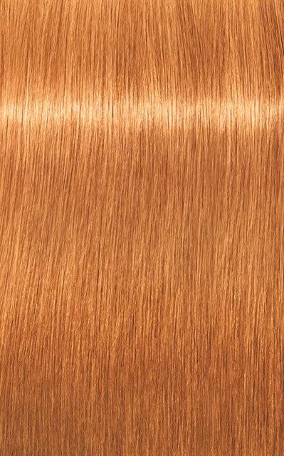 צבע שיער קבוע Blonde Expert ‏60 מ״ל | Indola – תמונת מוצר 7