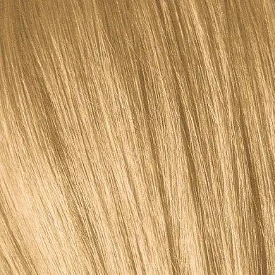 שוורצקופף צבע טון על טון חצי קבוע | איגורה ויברנס 60 מ”ל