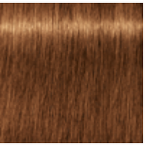 Indola PCC 8.34 colour swatch